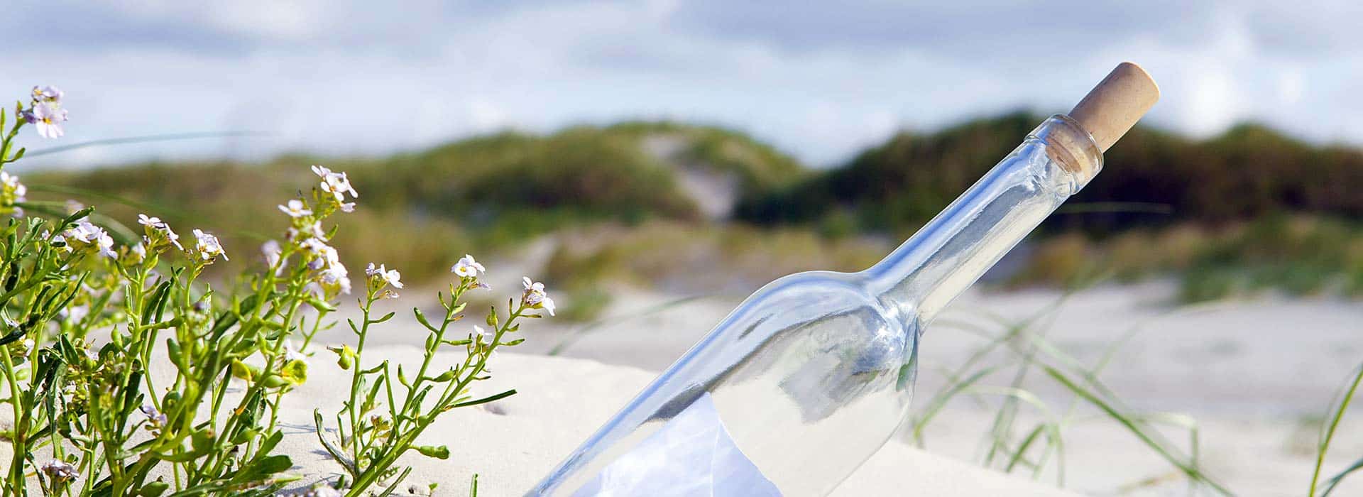 Kontakt zu Wilken-Ferien an der Nordsee